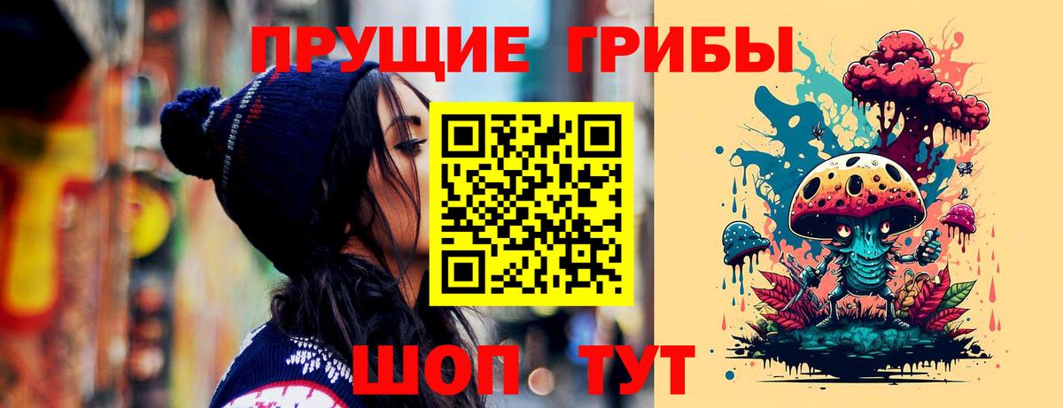 Будённовск  Псилоцибиновые грибы мухоморы  Галлюциногенные грибы прущие грибы  Вход с VPN 