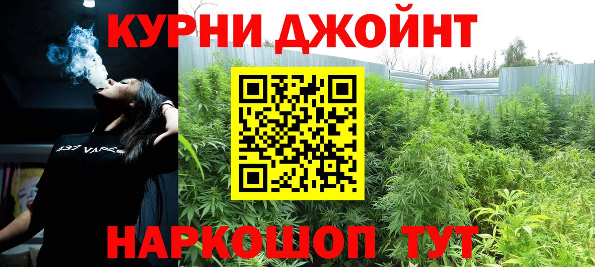 Каннабис SATIVA & INDICA  Каннабис гибрид  Будённовск  Каннабис VHQ  Вход с VPN  Бошки марихуана план 